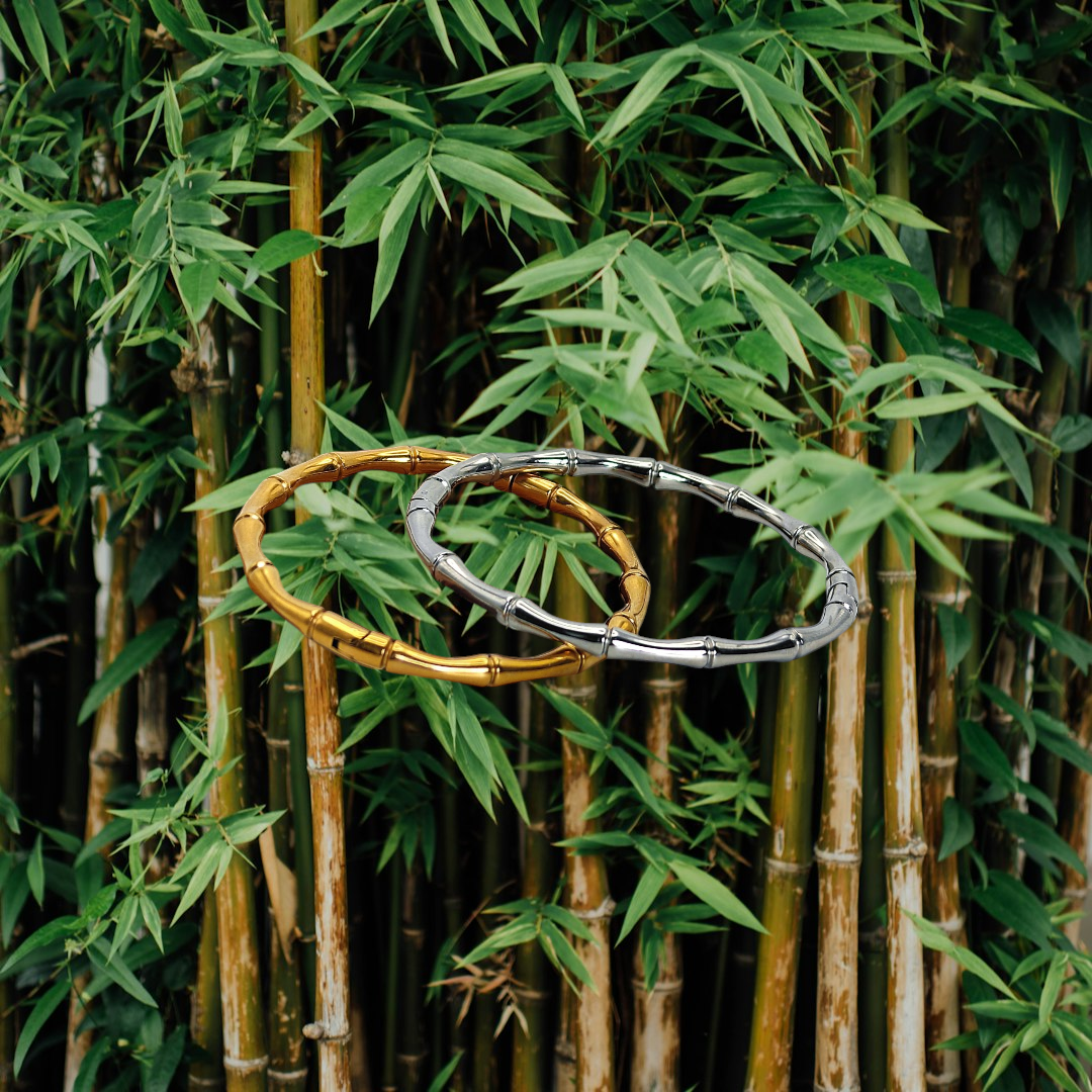 The Shizen Story